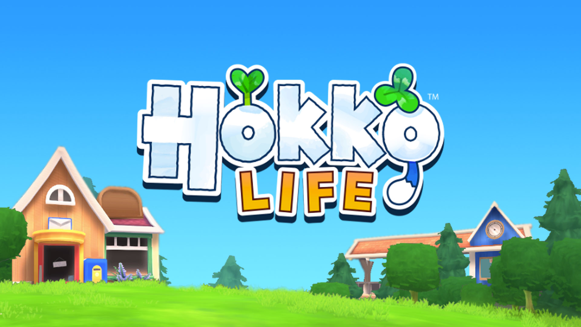 Hokko life обзор